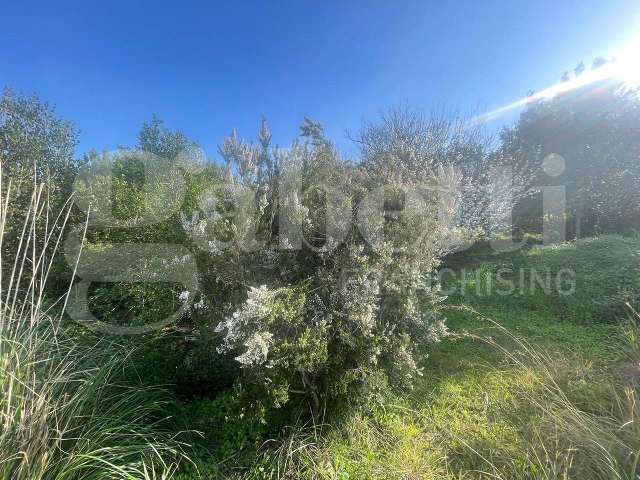 immagine annuncio 7 di 12