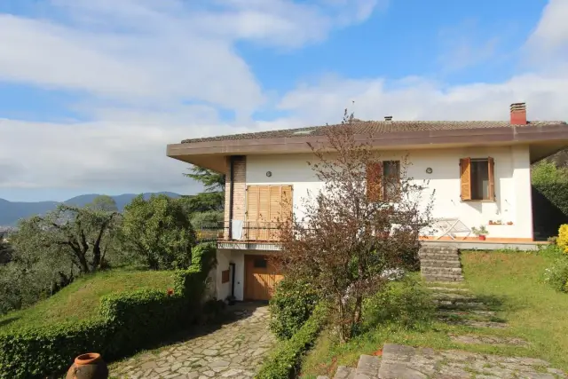 insertion image