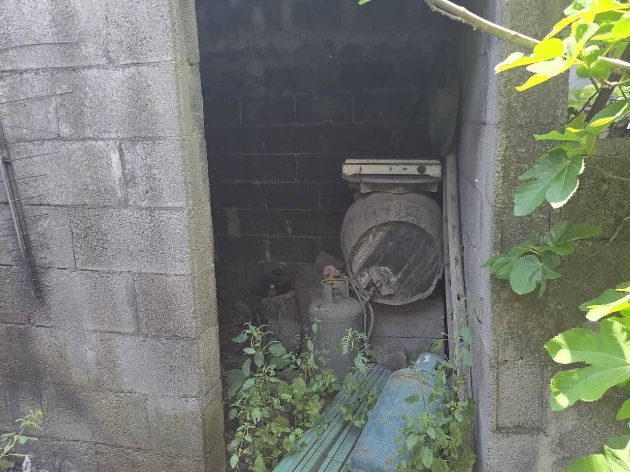 immagine annuncio 7 di 14