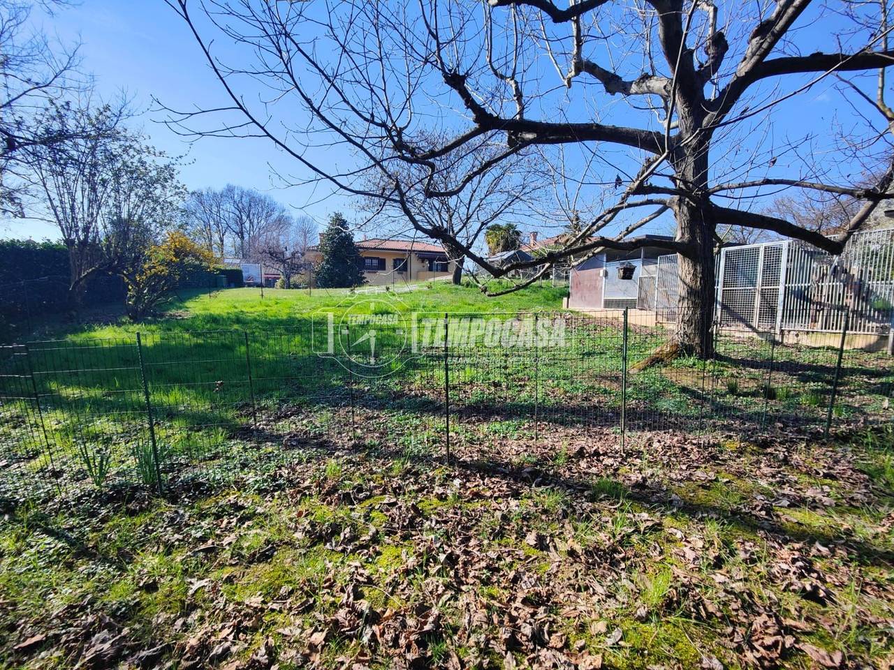 immagine annuncio 9 di 12