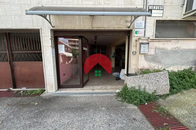insertion image