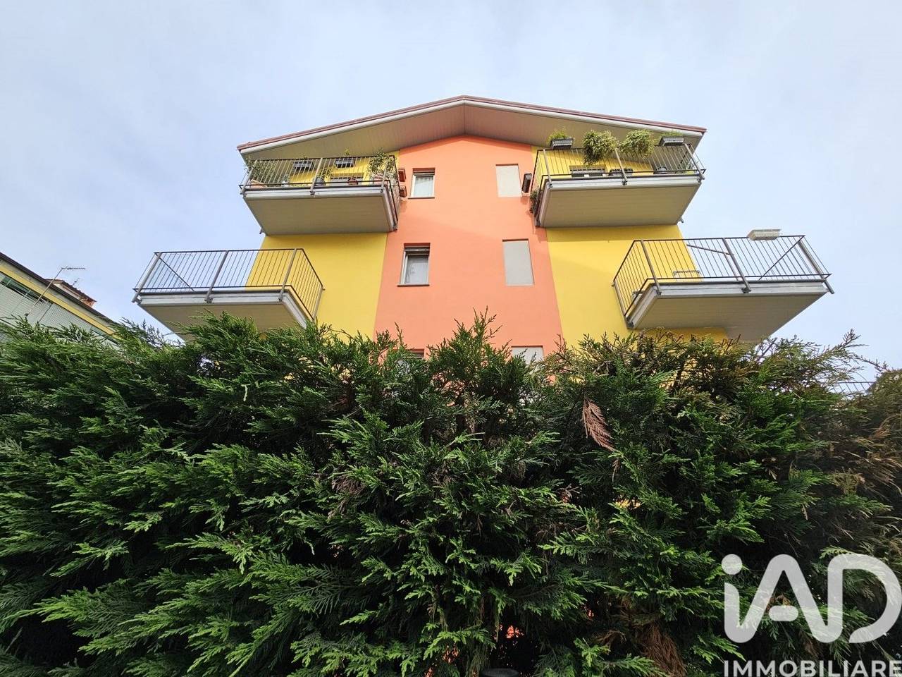 immagine annuncio 1 di 15