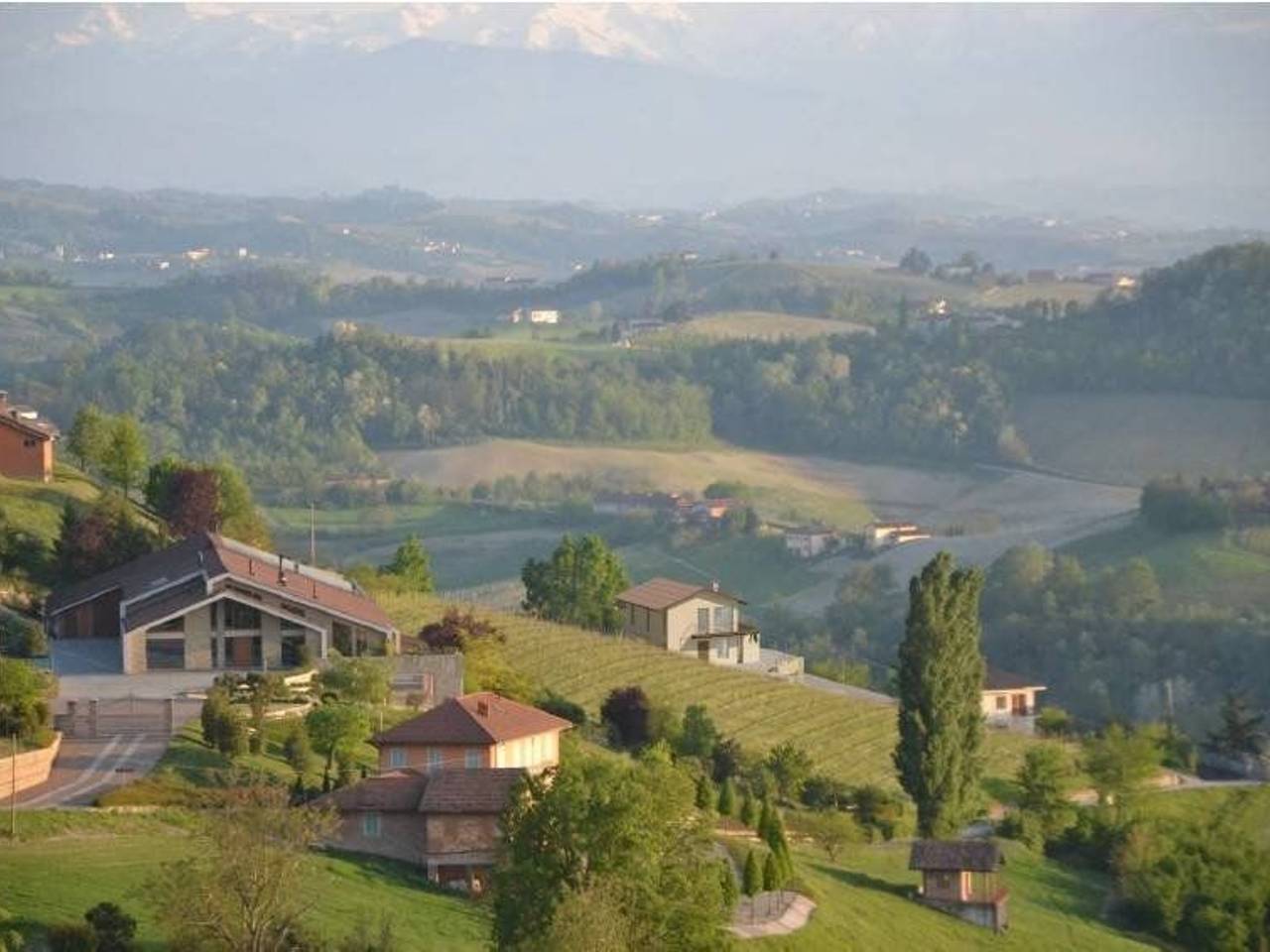 immagine annuncio 2 di 14