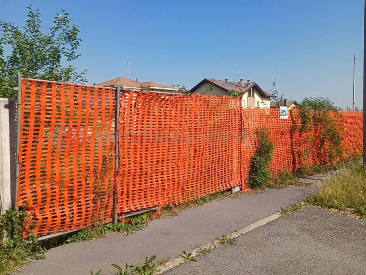 immagine annuncio 6 di 11