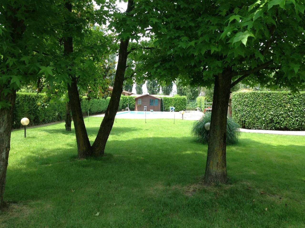 immagine annuncio 11 di 15