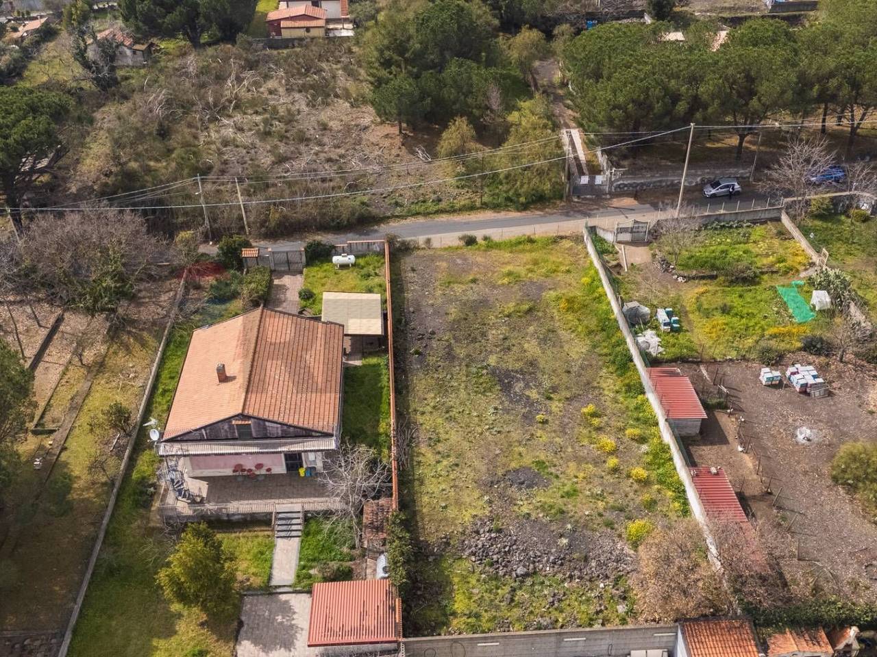 immagine annuncio 7 di 14