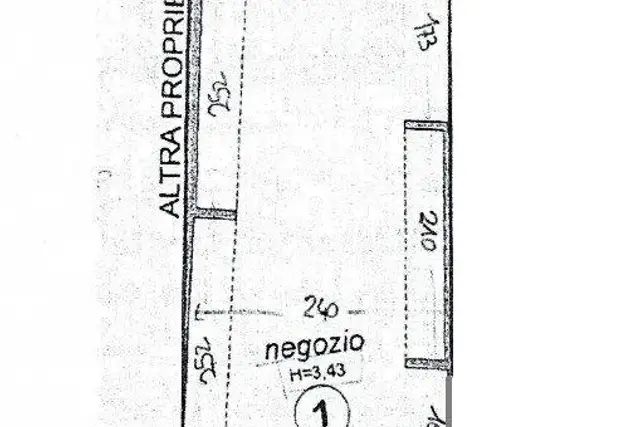 insertion image
