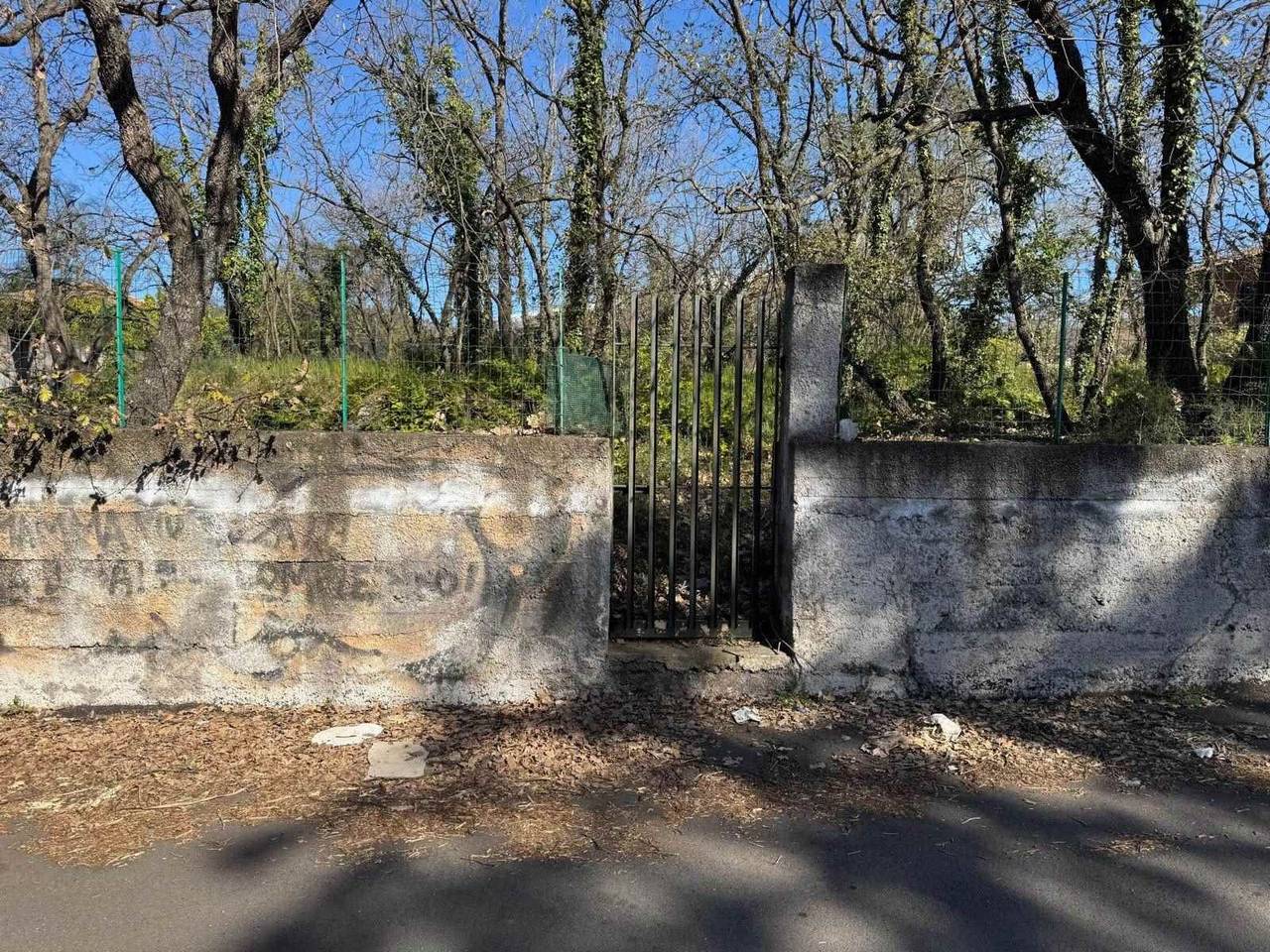 immagine annuncio 3 di 11