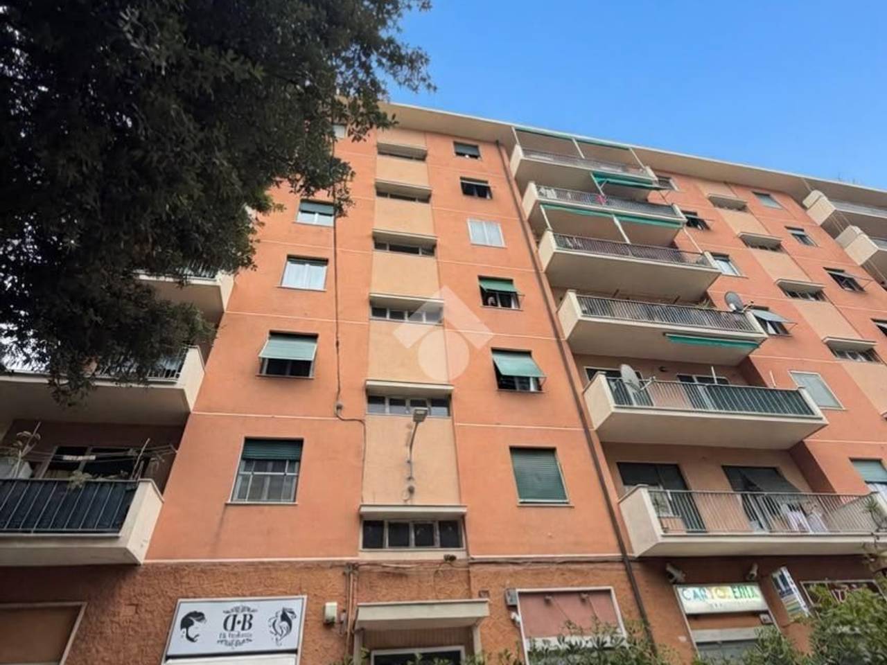 immagine annuncio 2 di 12