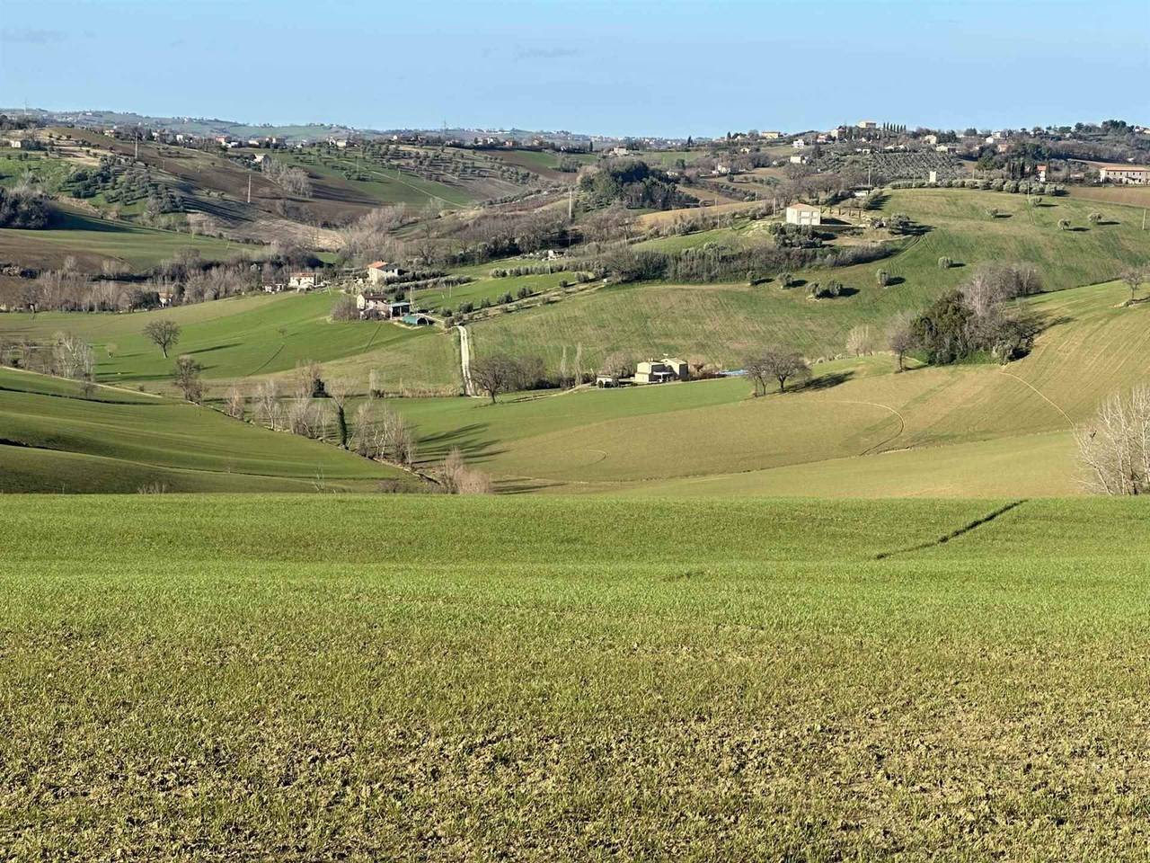 immagine annuncio 1 di 3