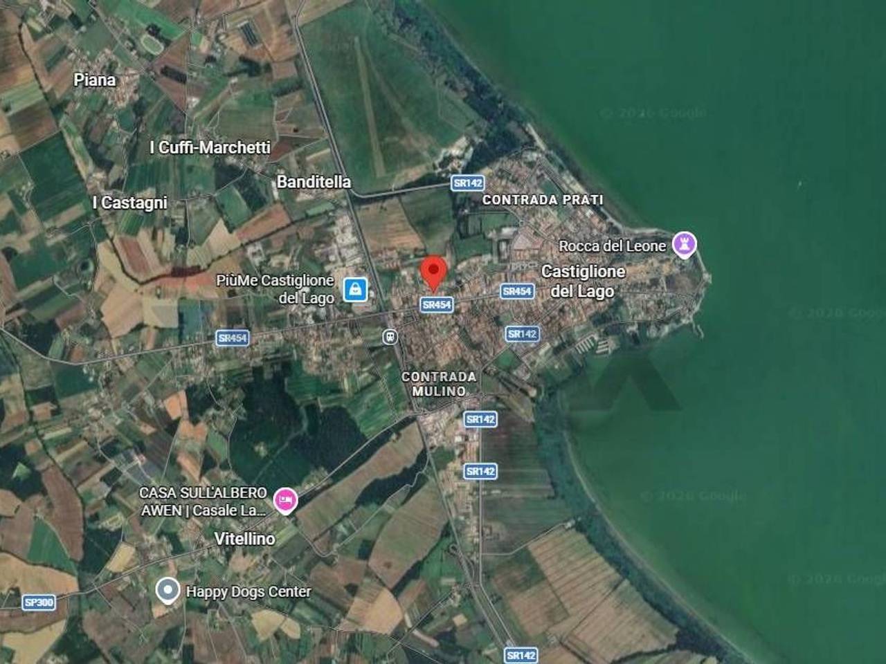 immagine annuncio 14 di 15