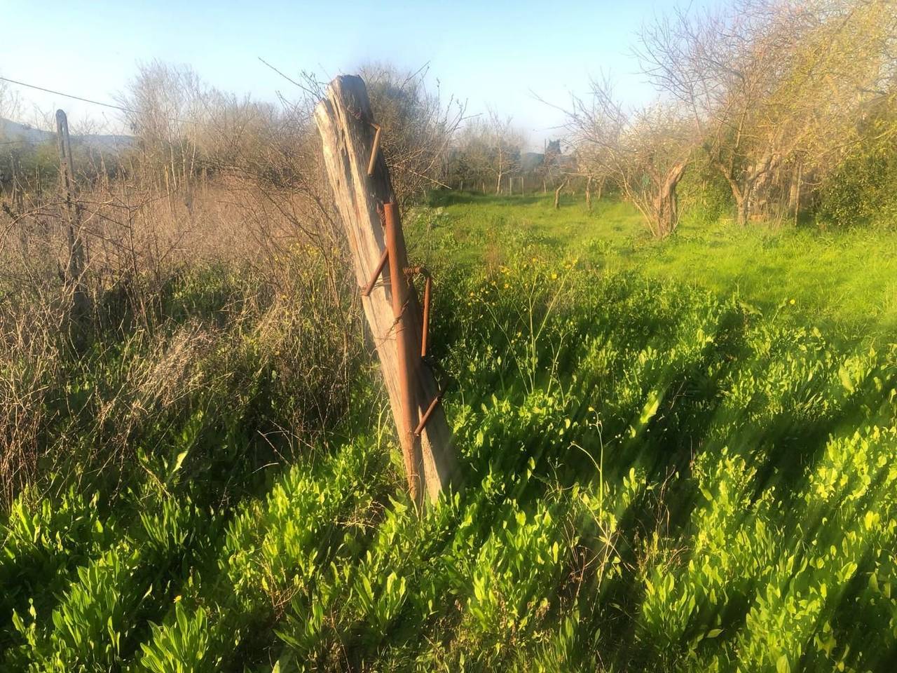 immagine annuncio 6 di 7