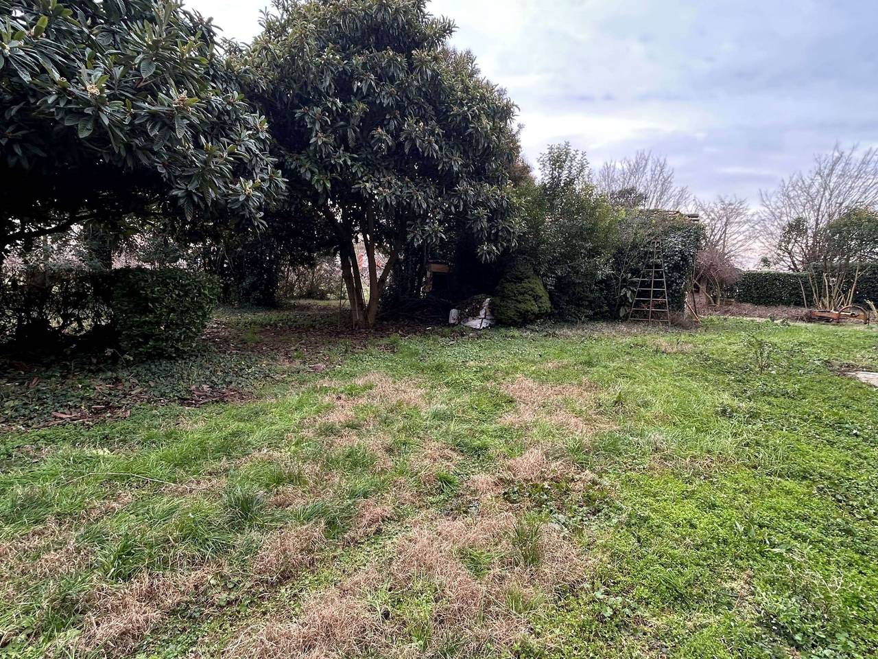 immagine annuncio 1 di 4