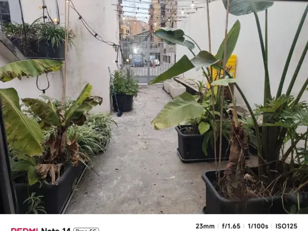 Negozio in Via Augusto Dulceri, Roma, {3} - Foto 2