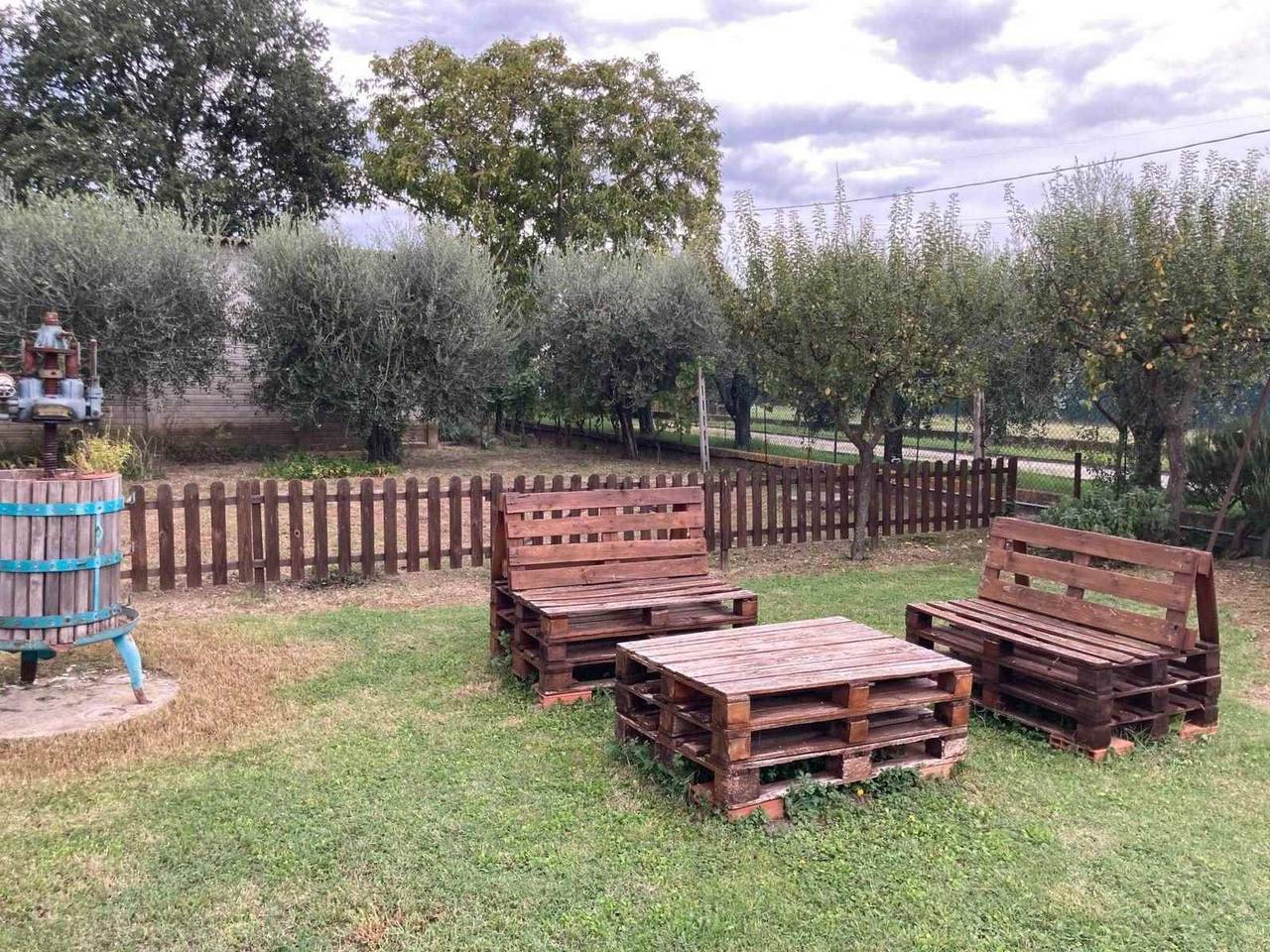 immagine annuncio 4 di 15