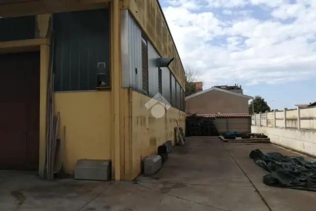 insertion image