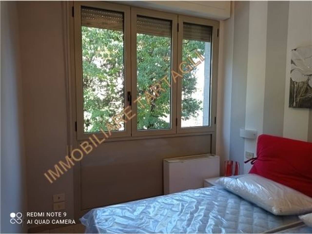 immagine annuncio 6 di 14