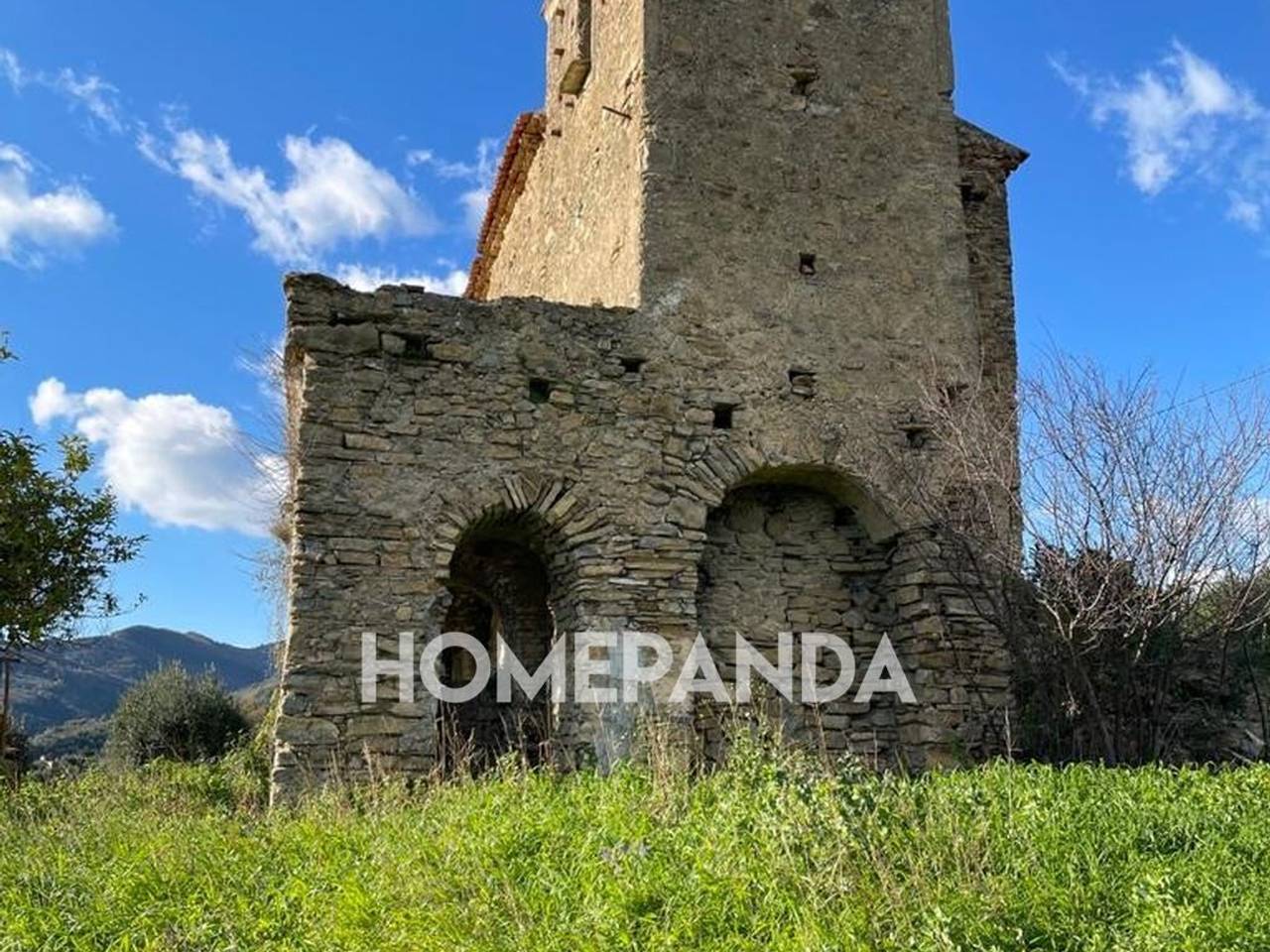 immagine annuncio 5 di 6