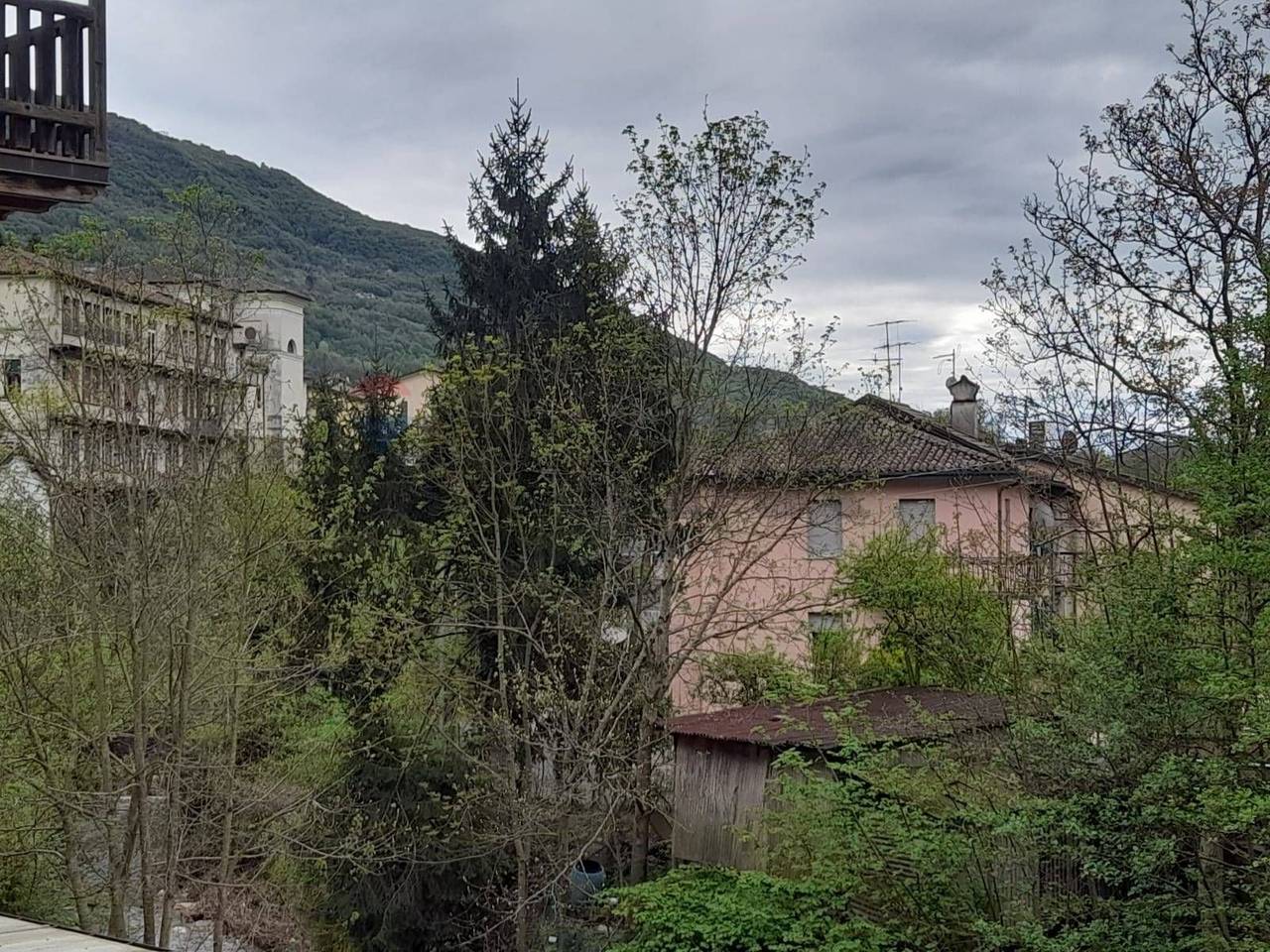 immagine annuncio 12 di 13