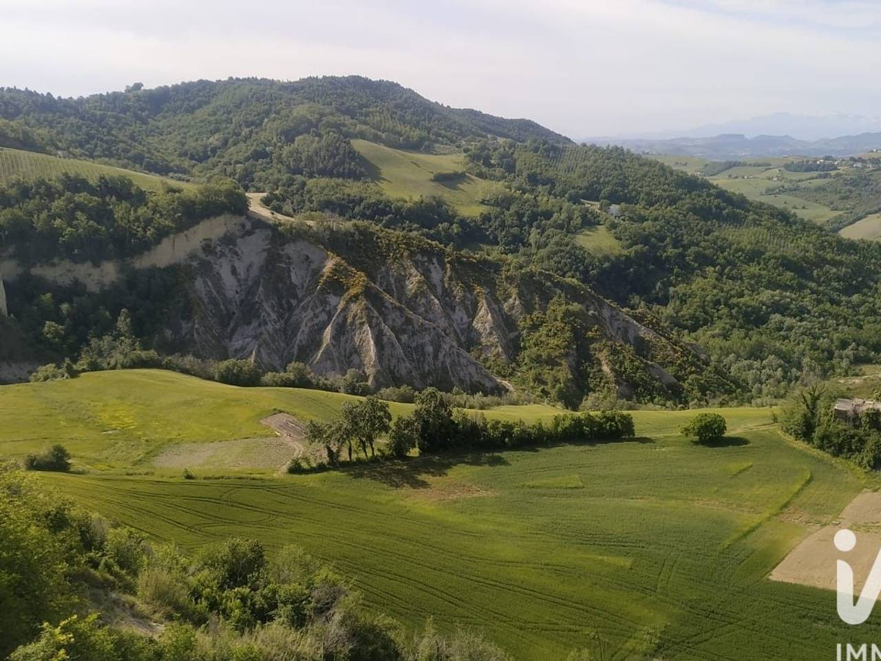 immagine annuncio 11 di 13