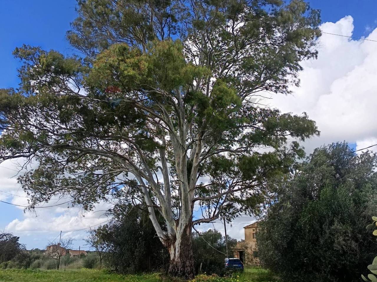 immagine annuncio 13 di 15