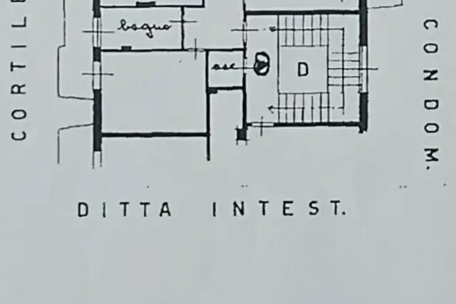 insertion image