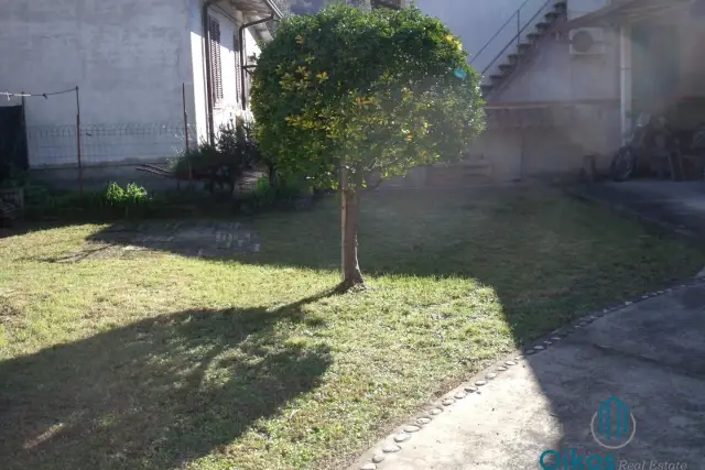 insertion image