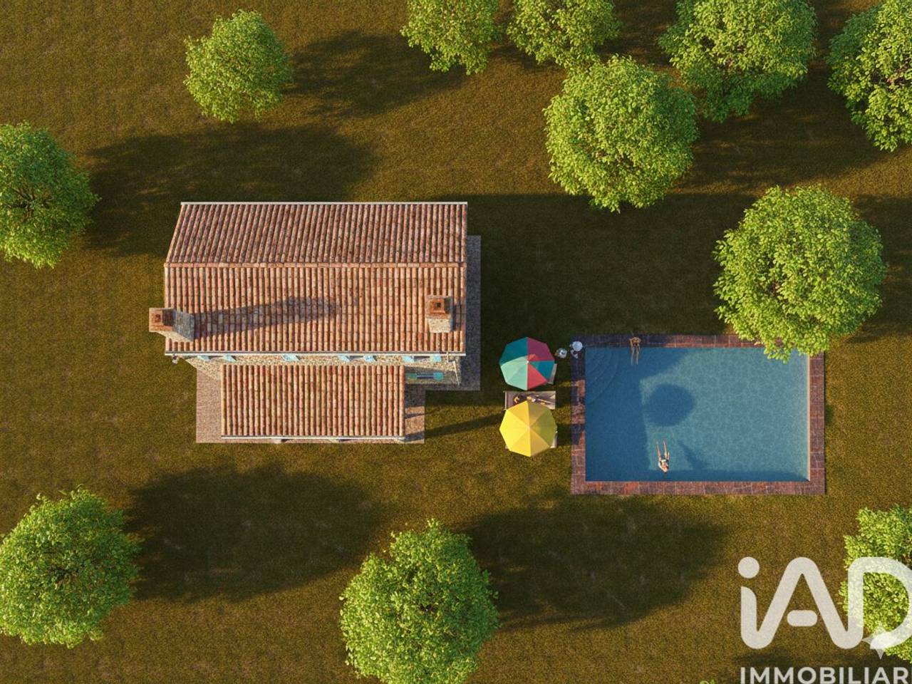 immagine annuncio 4 di 13