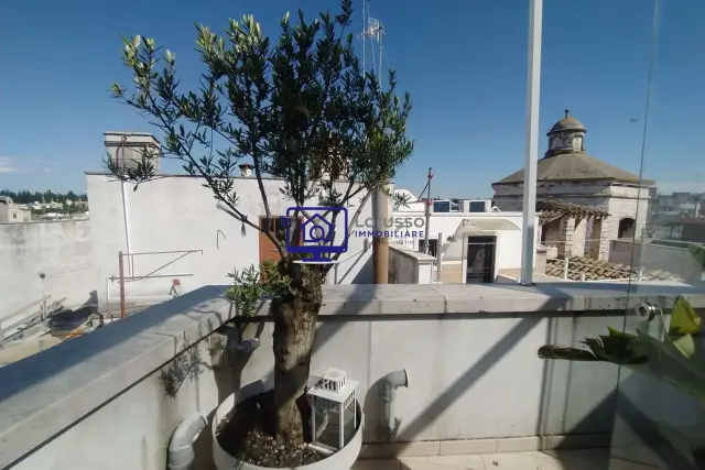 insertion image