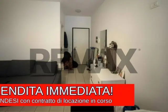 insertion image