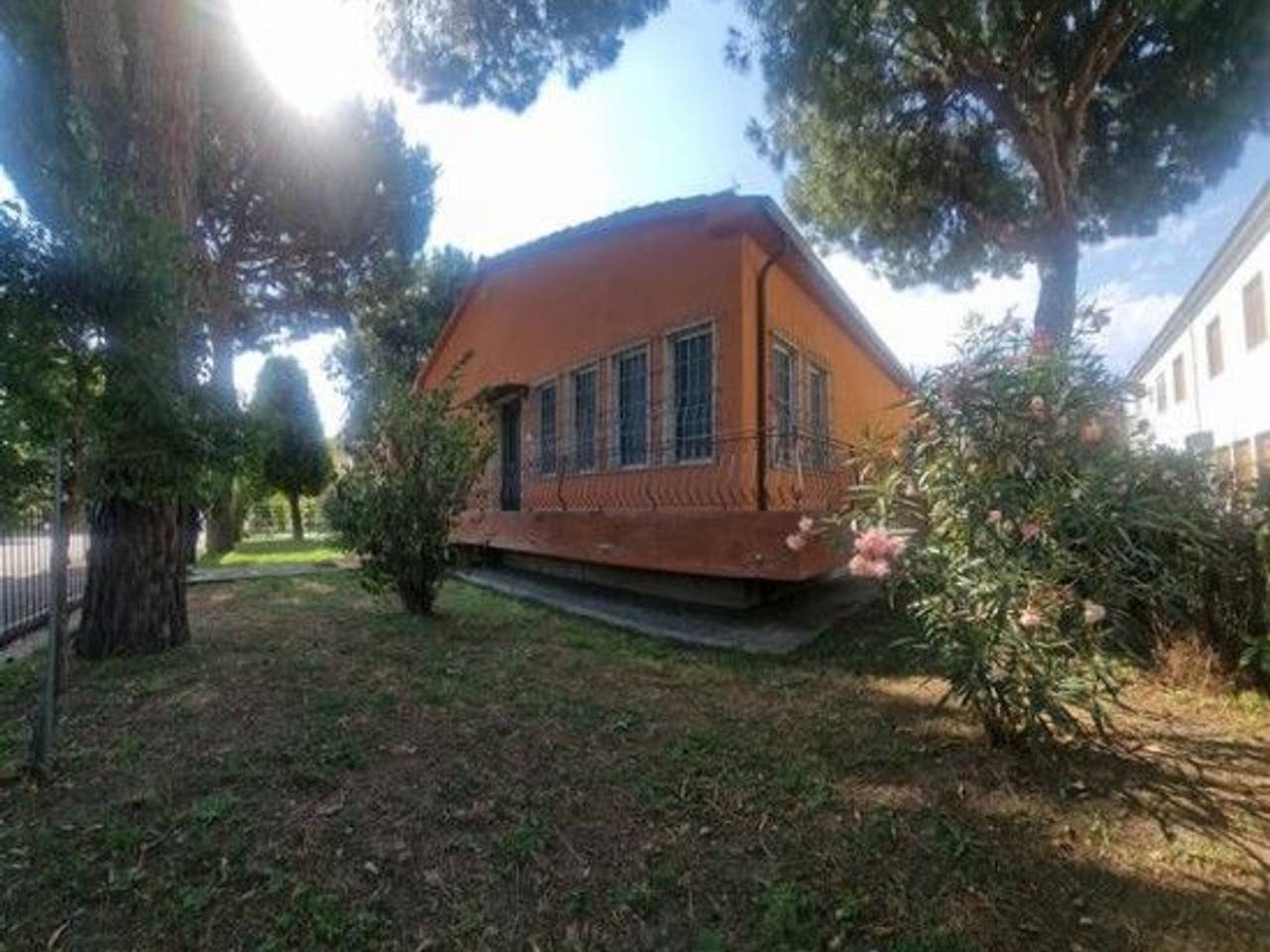 immagine annuncio 13 di 15