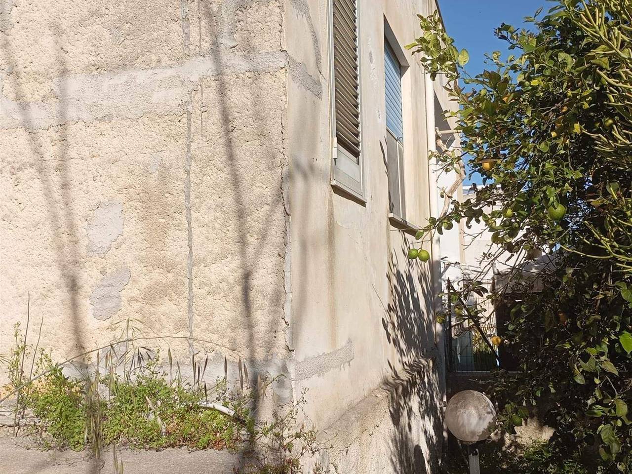 immagine annuncio 11 di 14