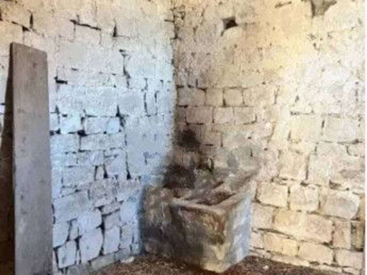 immagine annuncio 7 di 8