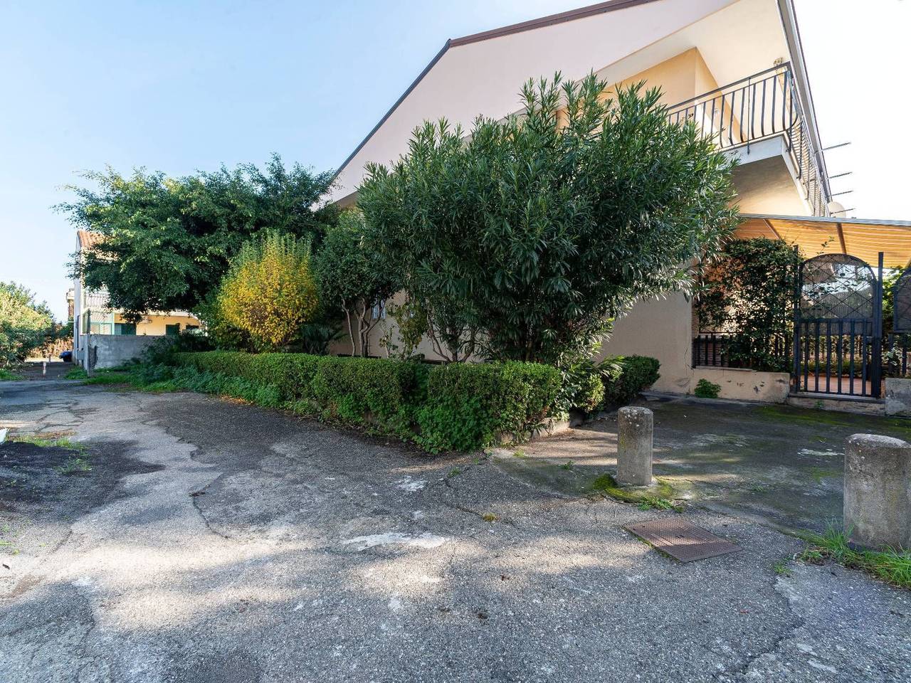 immagine annuncio 12 di 14