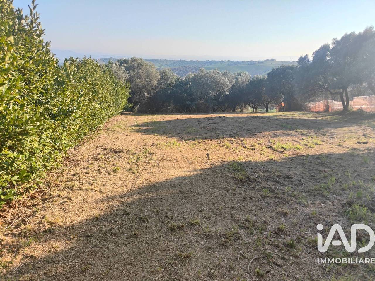 immagine annuncio 3 di 7