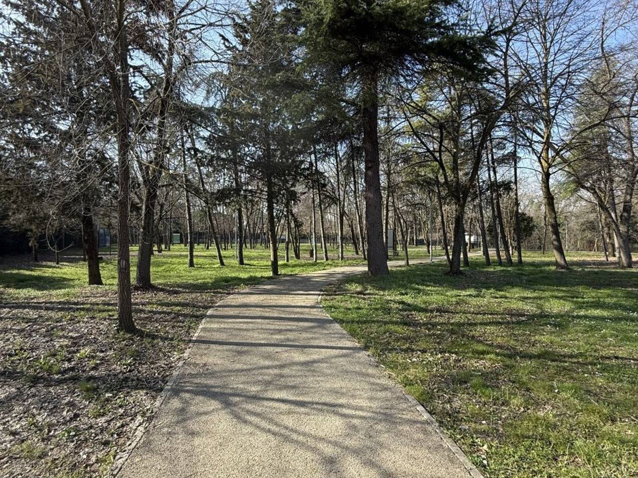 immagine annuncio 6 di 9