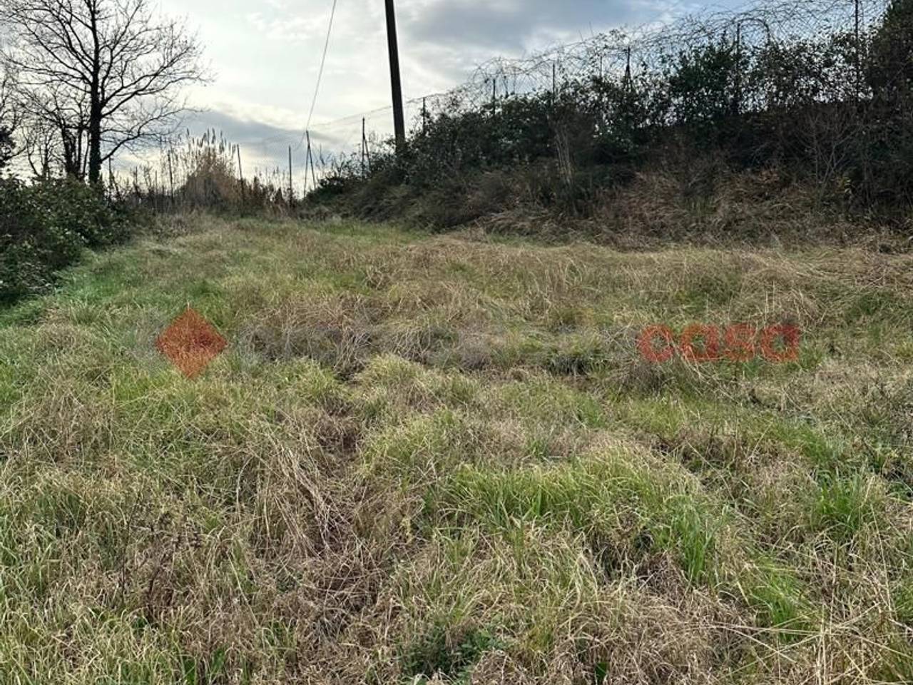 immagine annuncio 4 di 9