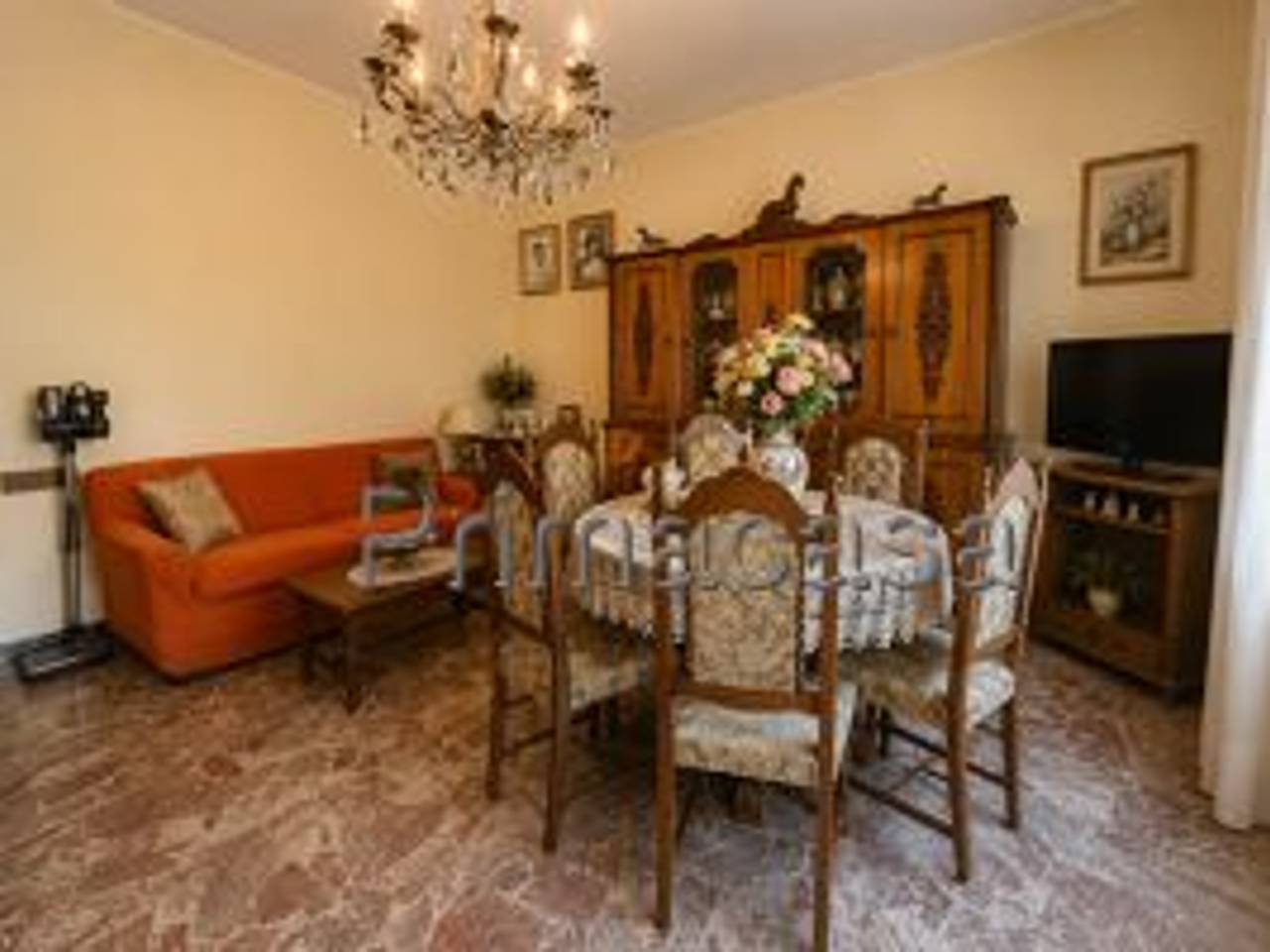 immagine annuncio 1 di 14