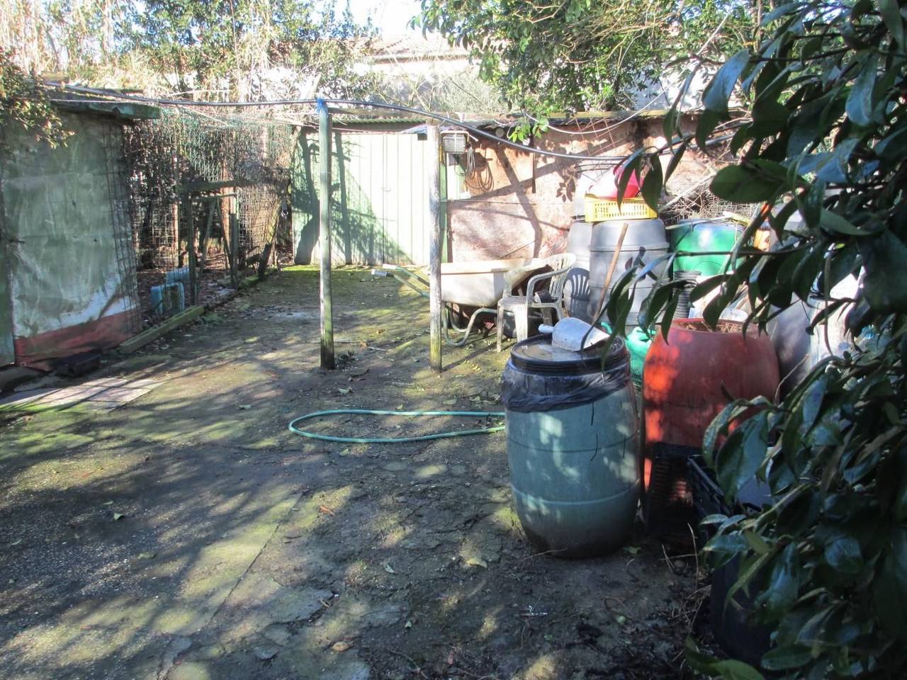 immagine annuncio 3 di 7