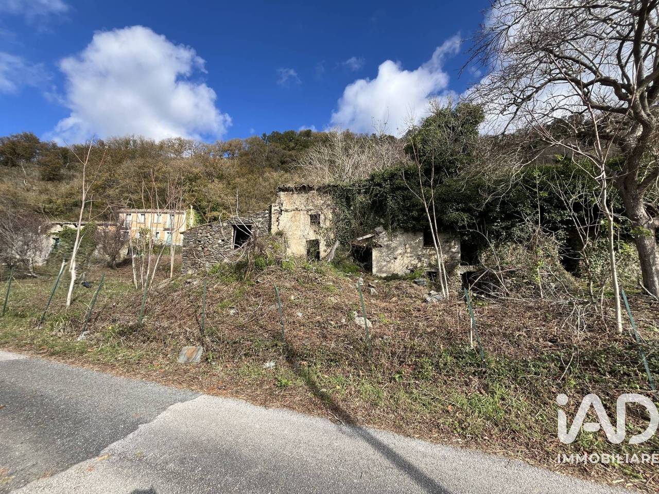 immagine annuncio 2 di 13