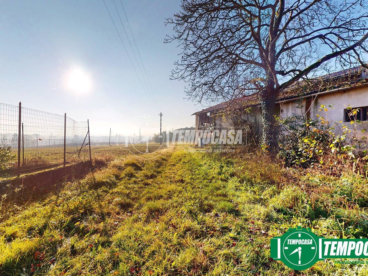 immagine annuncio 9 di 11