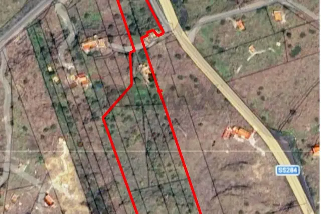 insertion image