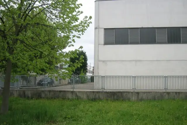 insertion image