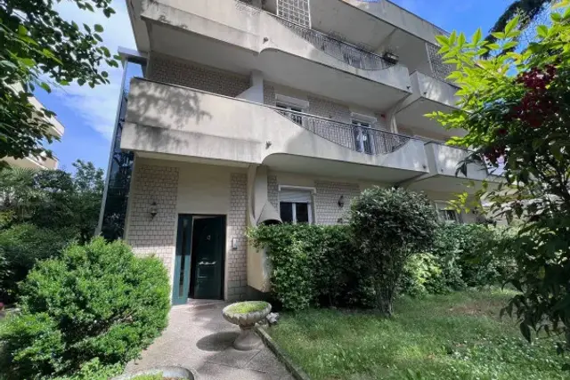 insertion image