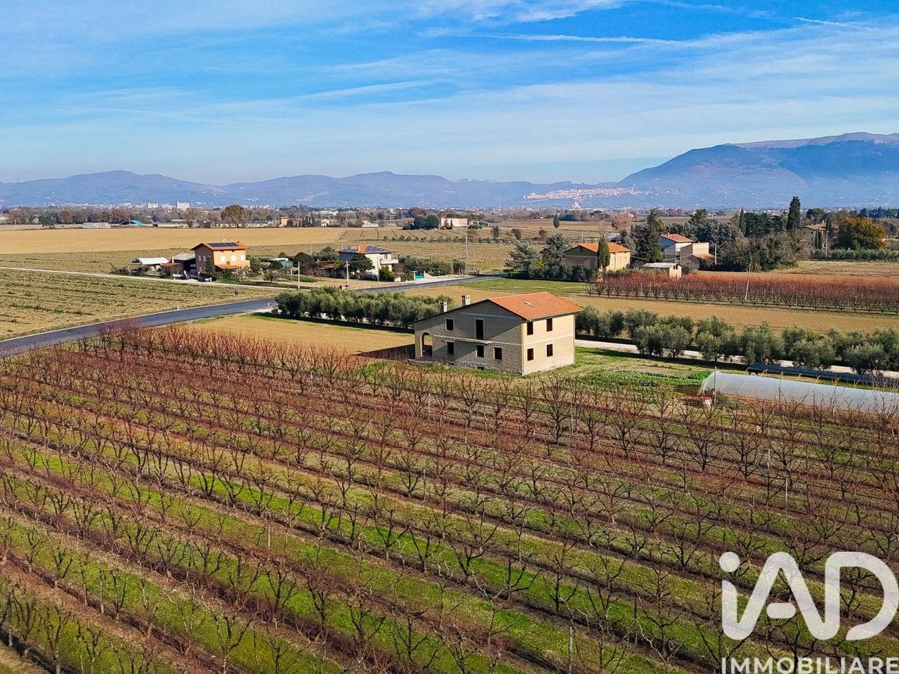 immagine annuncio 13 di 15