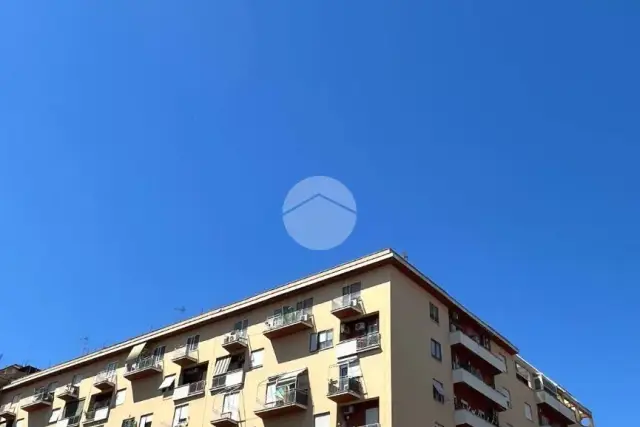 insertion image