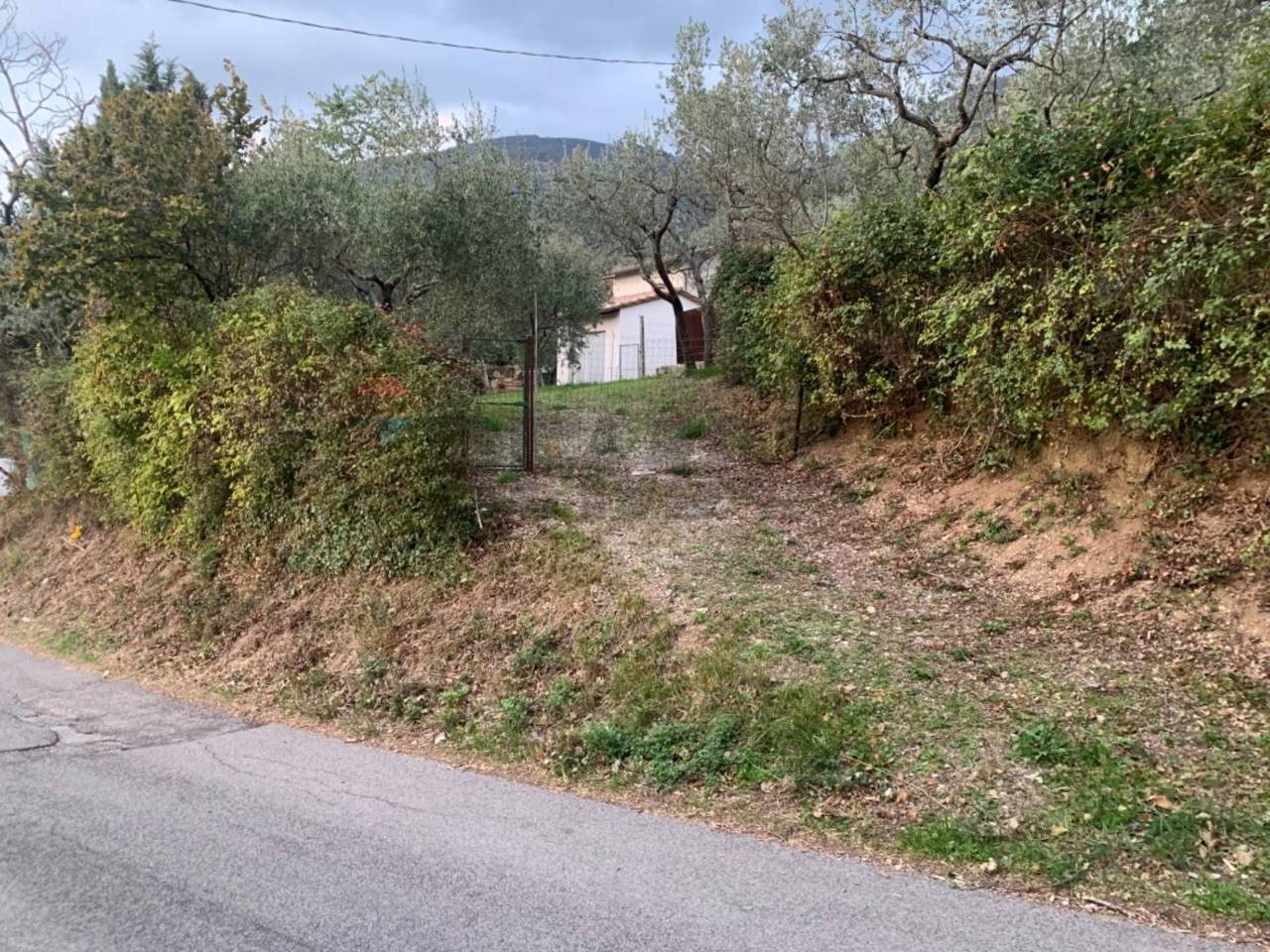 immagine annuncio 6 di 14