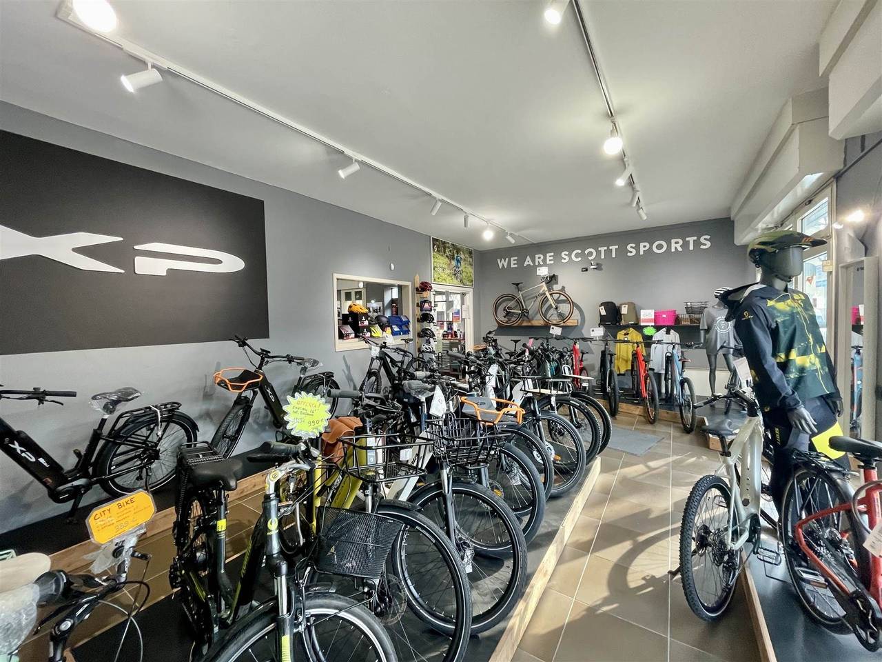 immagine annuncio 10 di 15