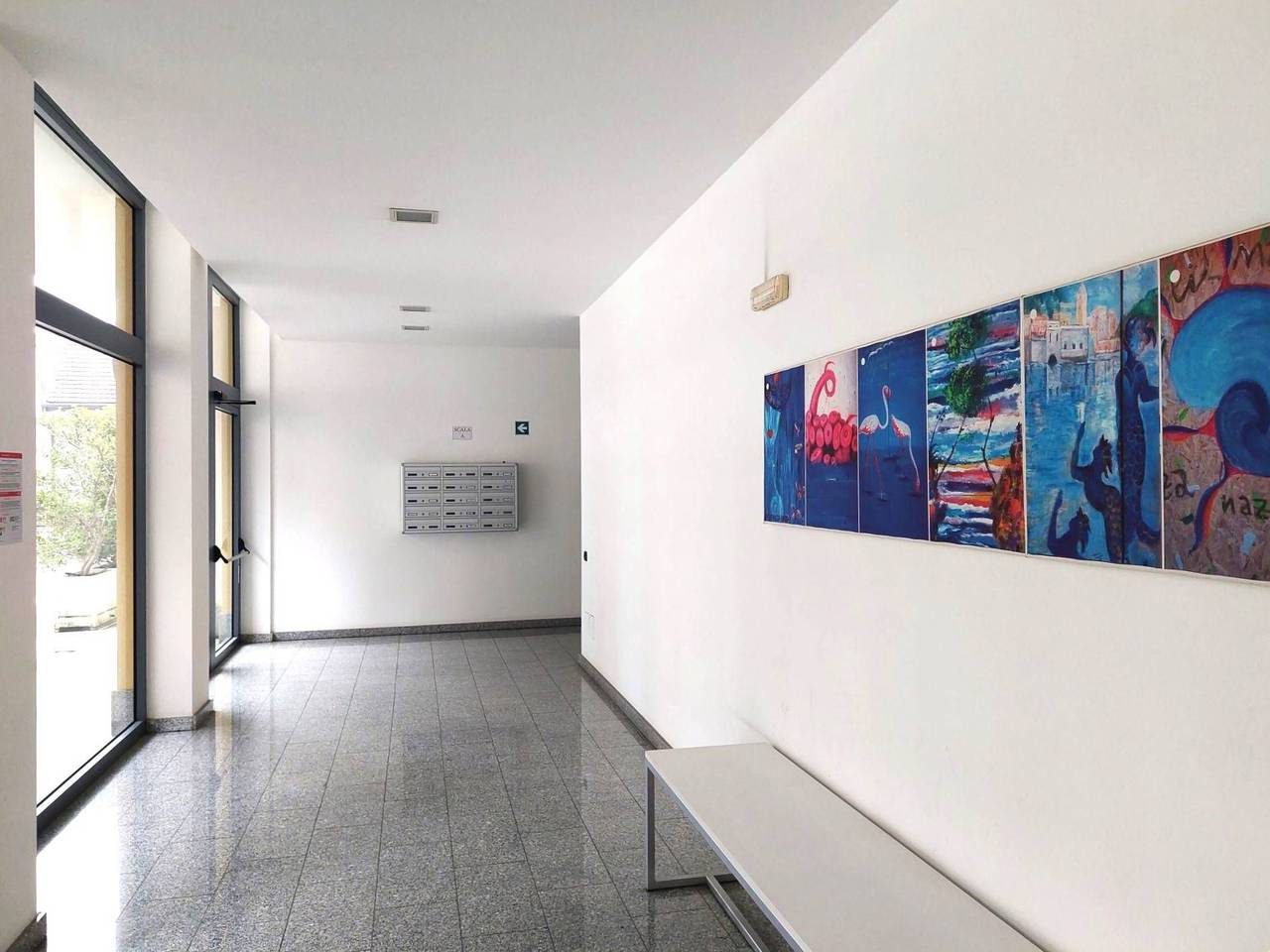 immagine annuncio 9 di 12