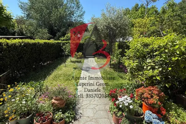 insertion image
